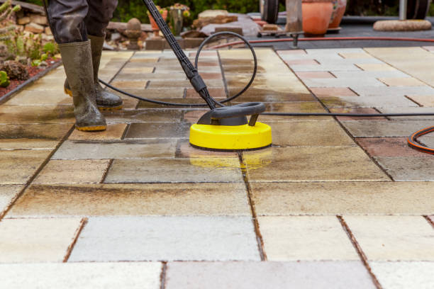 Animal Enclosure Cleaning in Spooner, WI